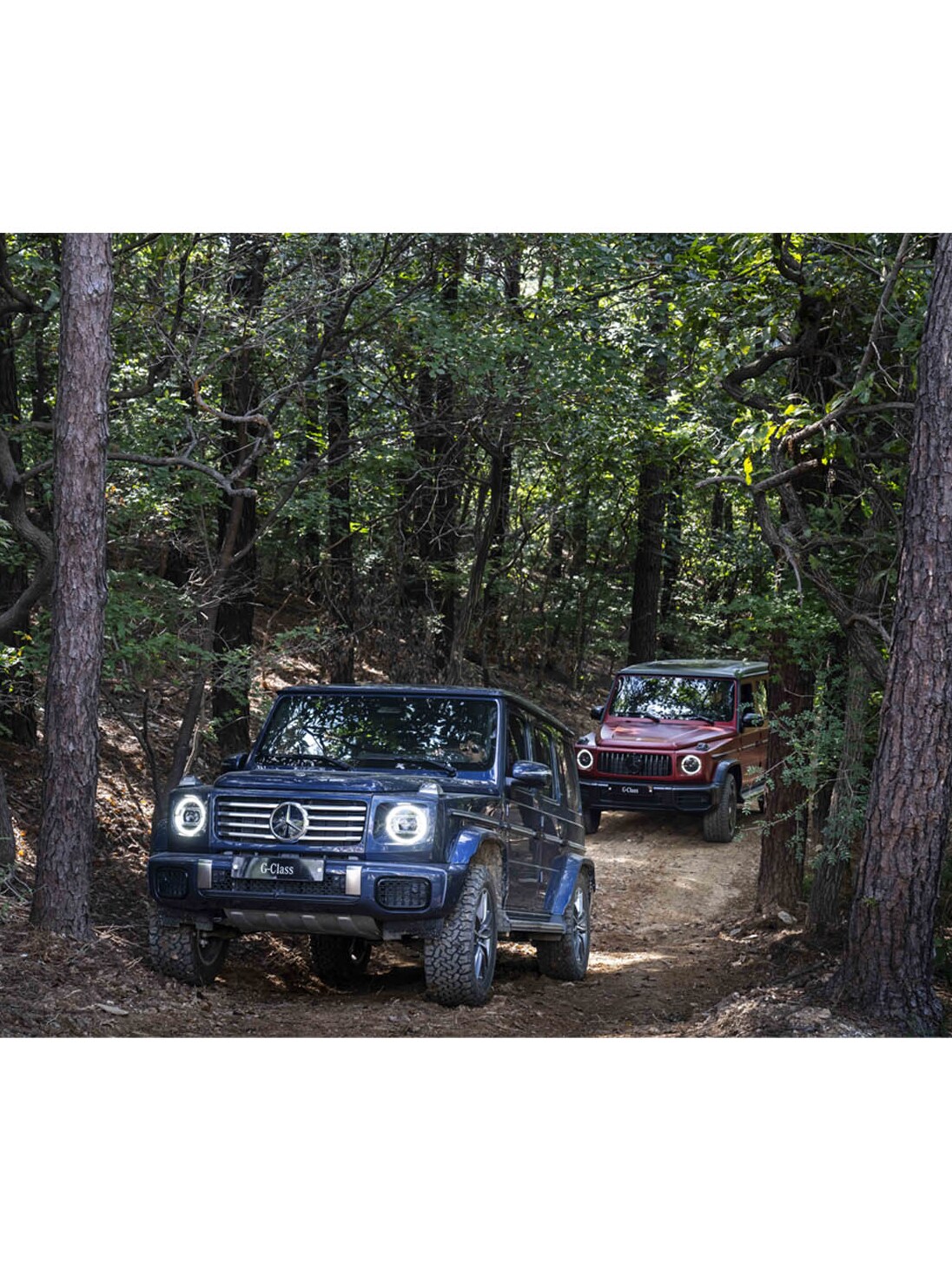 Explore your extreme off-road adventure. ​