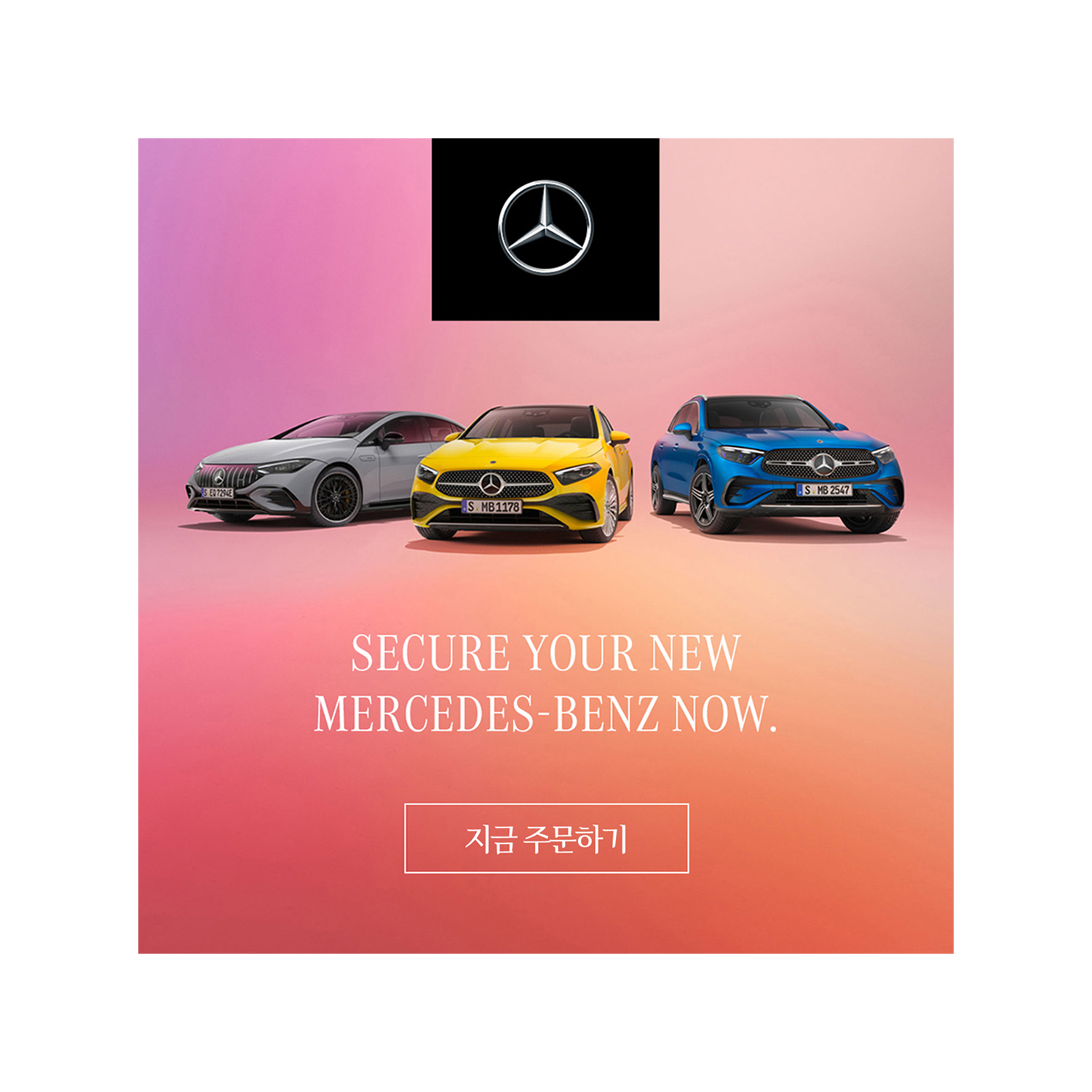 지금 주문하기 지금 주문하기