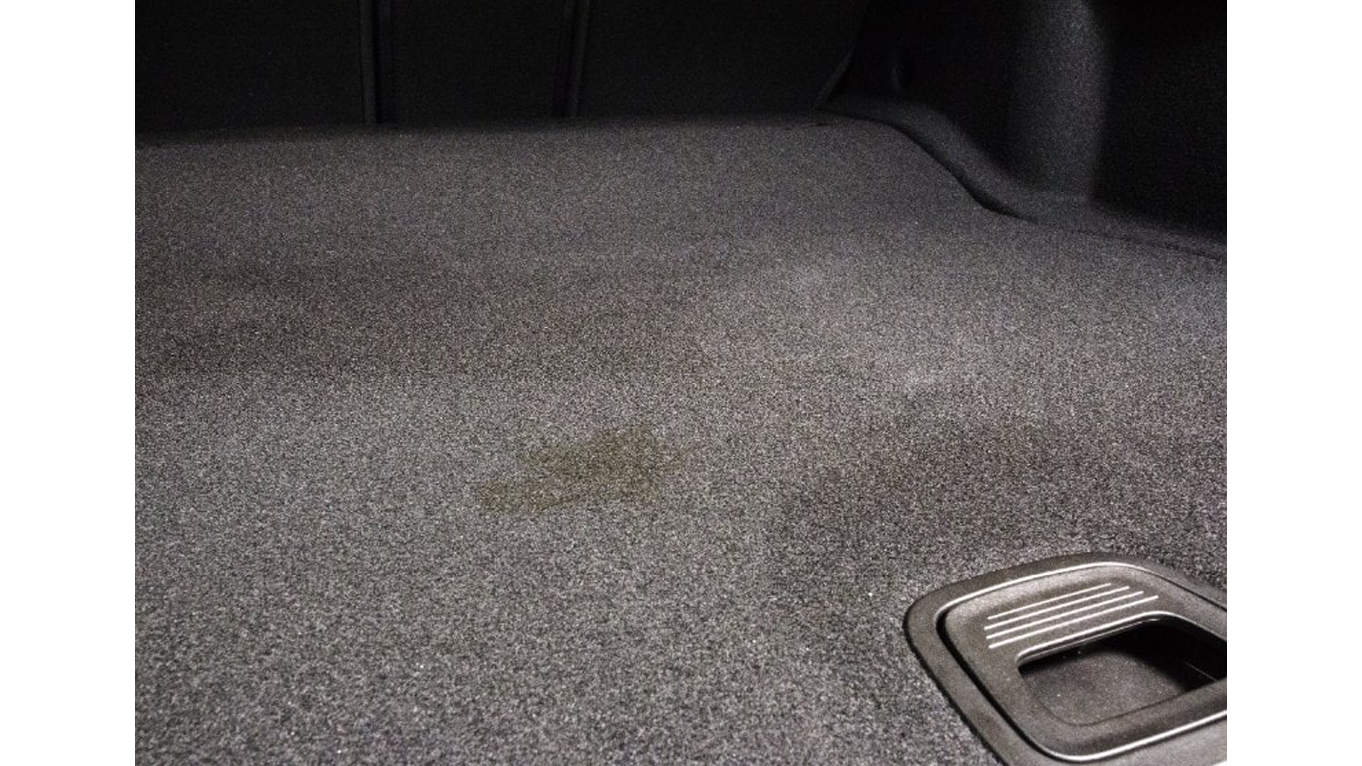 트렁크 부분 트렁크 부분