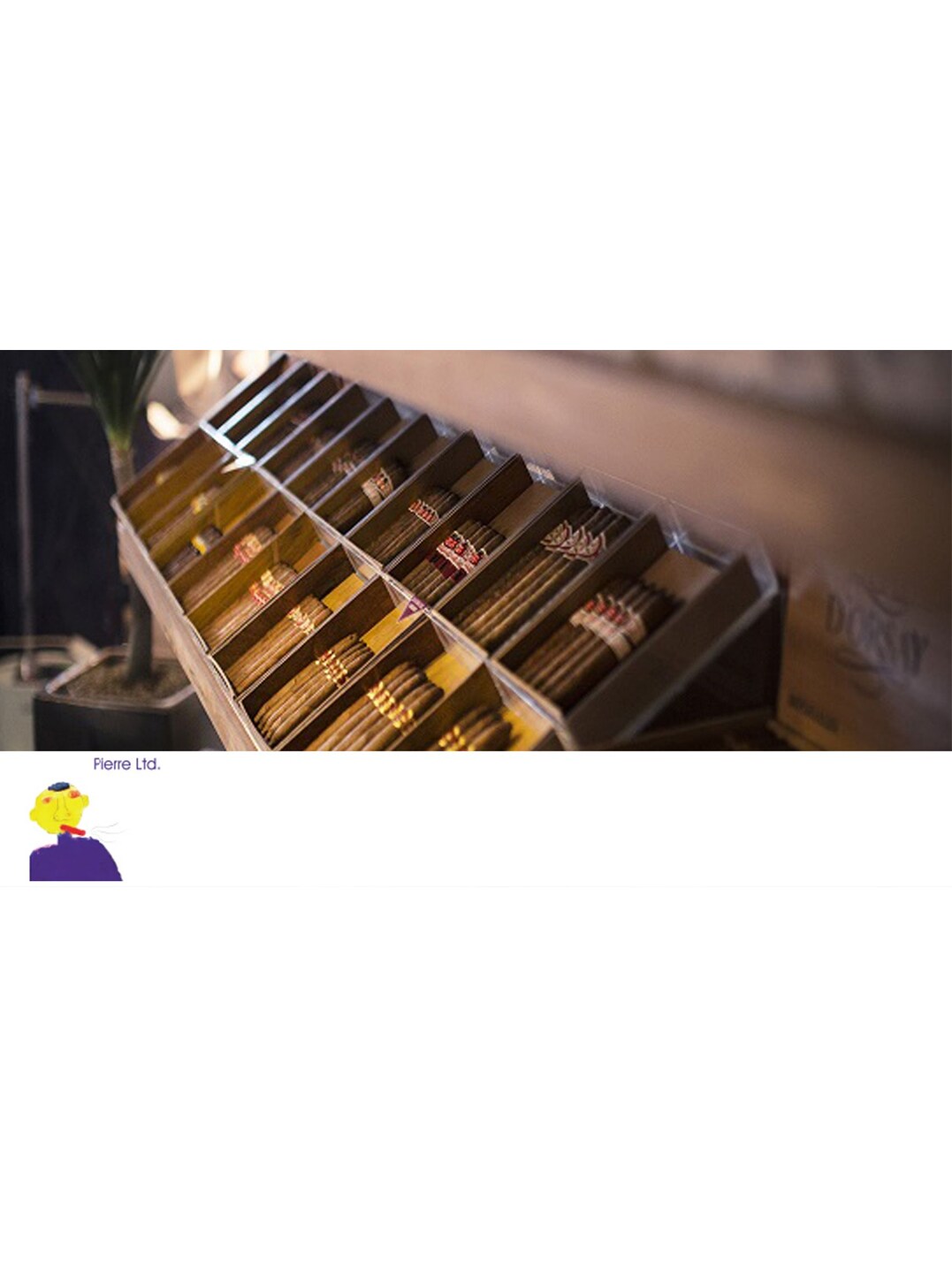 하바나 시가 피에르